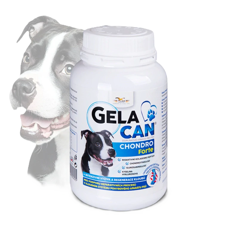 ORLING Gelacan Chondro Forte 150g