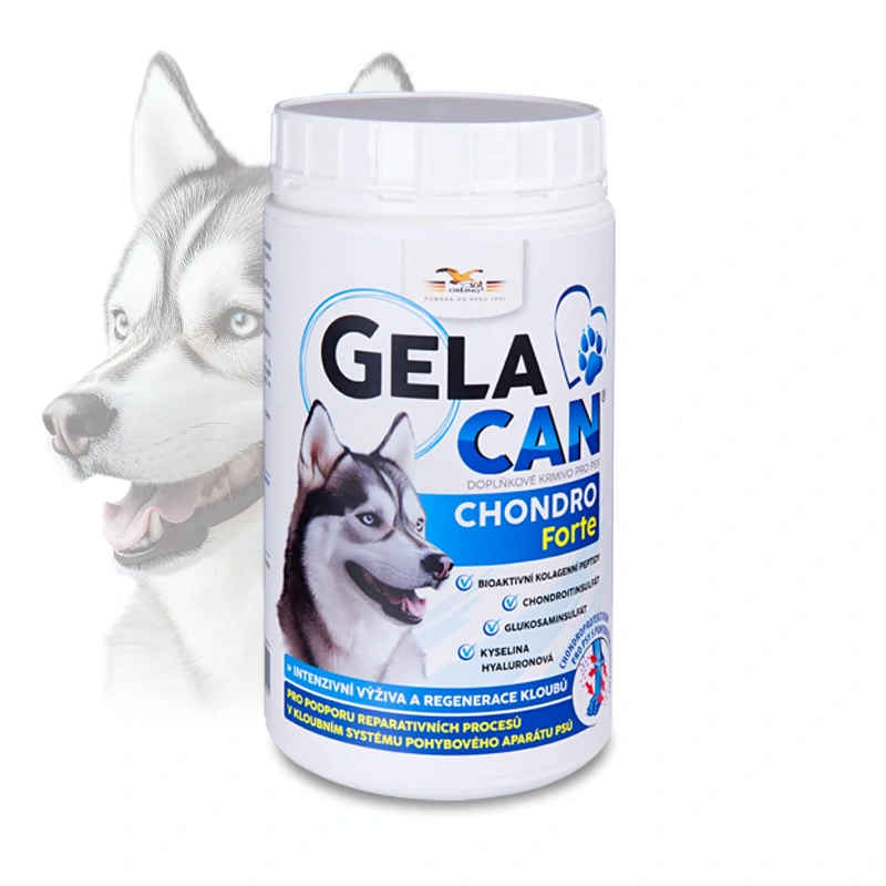 ORLING Gelacan Chondro Forte 500g