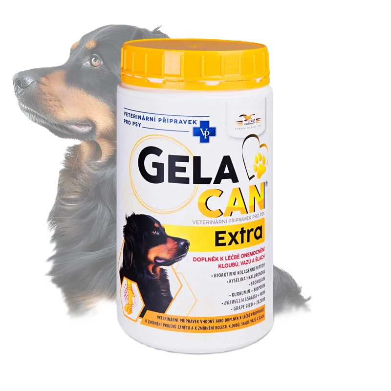 ORLING GELACAN EXTRA - prášek - 500g