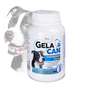 ORLING Gelacan Chondro Forte 150g