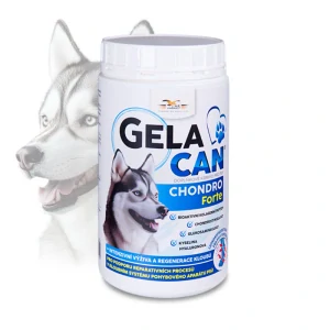 ORLING Gelacan Chondro Forte 500g