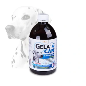 ORLING Gelacan Chondro Forte Biosol 500 ml