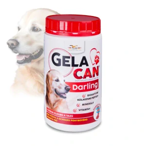ORLING Gelacan Darling 500g