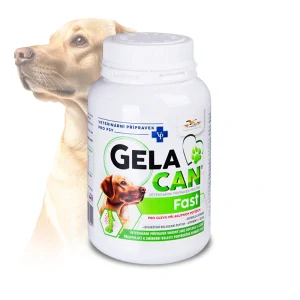 ORLING Gelacan Fast 150g