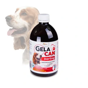ORLING Gelacan Darling Biosol 500ml