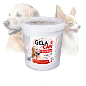 ORLING Gelacan Darling 5kg