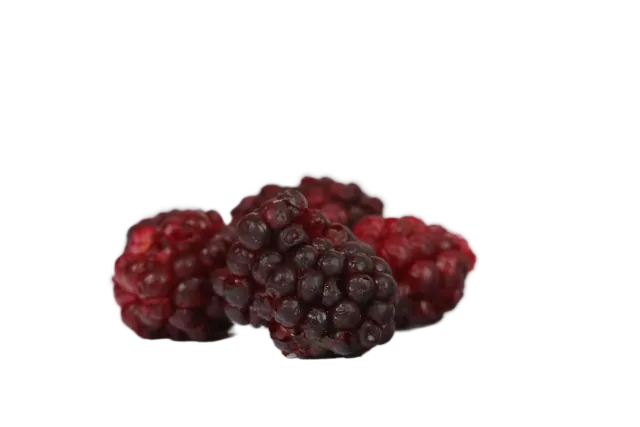 NaturBites Ostružiny lyofilizované (sušené mrazem) 50 g