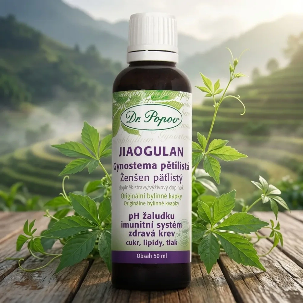 Dr. Popov Bylinné kapky Jiaogulan-Gynostema pětilistá 50ml