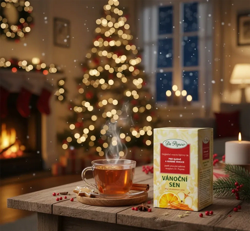 Dr. Popov Čaj Vánoční sen 20 x 1,5 g