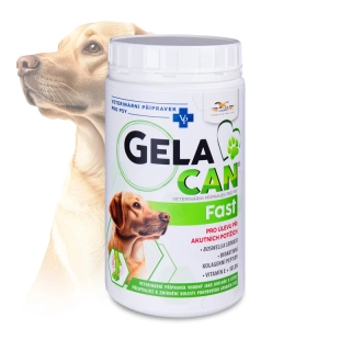 ORLING Gelacan Fast 500g