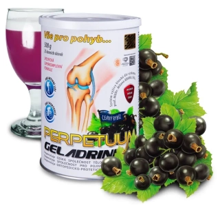 ORLING Geladrink Perpetuum nápoj Černý Rybíz 500 g