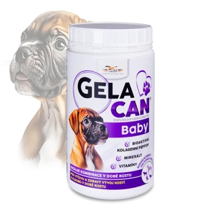 ORLING Gelacan Baby 500g